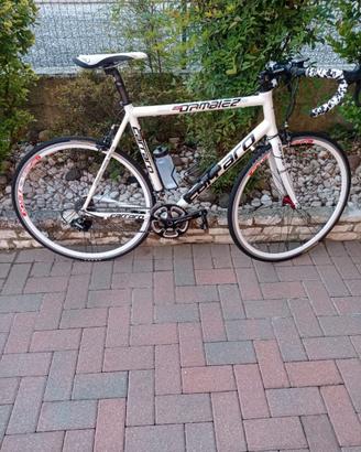 Bici da corsa carraro