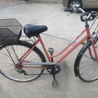 Bici passeggio
