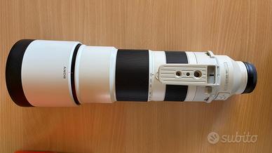 Sony 200-600 G OSS