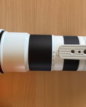 Sony 200-600 G OSS