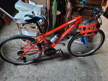 Bicicletta