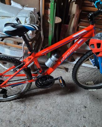 Bicicletta