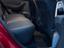 Immagine 11