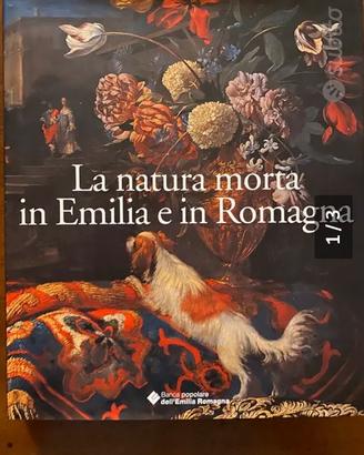 La pittura in Emilia Romagna