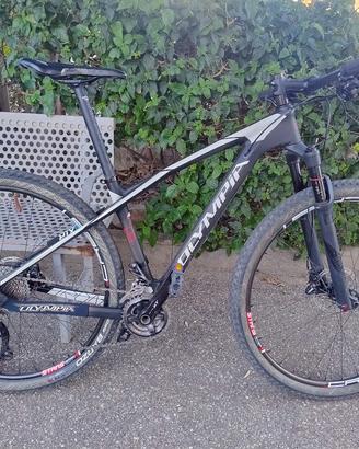 Mountain bike Olimpia Iron 