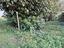 Immagine 12