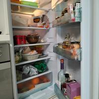 cucina lineare MT.2.90 più colonna frigo 