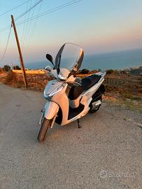 Sh 300 del 2019 abs