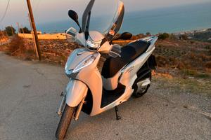 Sh 300 del 2019 abs