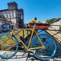 Bici corsa vintage Viner