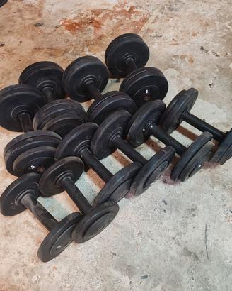 manubri gommati palestra set