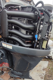 Yamaha F100 EFI Blocco motore Ricambio