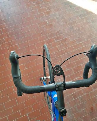 bicicletta in carbonio 