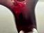 Immagine 7