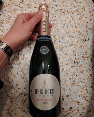 Berlucchi Franciacorta cuvee imperiale brut