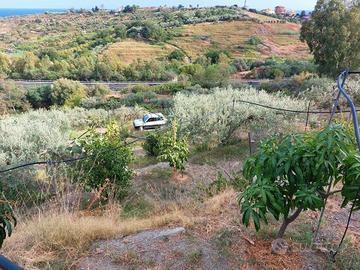Terreno agricolo possibilità manufatto