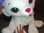 Immagine 4