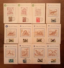 Cartoline SAN MARINO , francobolli fdc