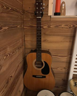 Chitarra acustica