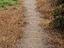 Immagine 16
