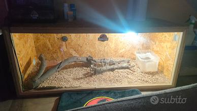 terrario 120x50x50