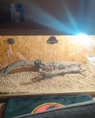 terrario 120x50x50