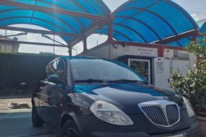 Lancia ypsilon. ADATTA PER NEOPATENTATI