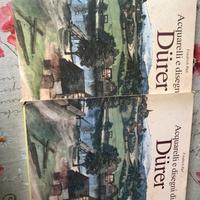 Acquarelli e disegni di Durer