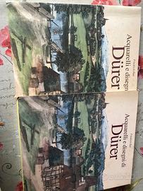 Acquarelli e disegni di Durer