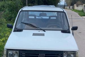 Fiat panda young