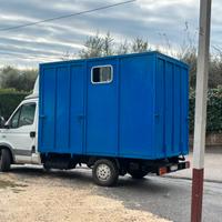 Trasporto cavalli