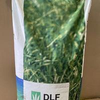 Loietto perenne THRIVE 25 kg