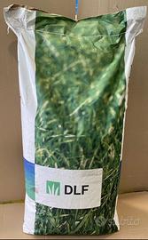Loietto perenne THRIVE 25 kg
