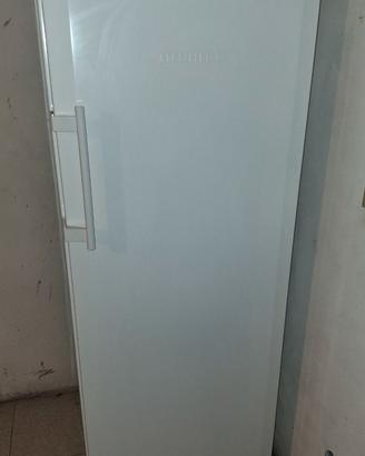 Congelatore Liebherr GN 2723 No Frost