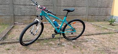 mountanbike ragazzo/a
