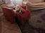 Immagine 5