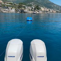 Due fuoribordo Evinrude 150CV - 2003