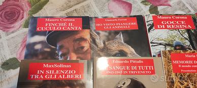 Lotto 10 libri usati Triveneto Corona Paolini
