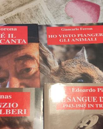 Lotto 10 libri usati Triveneto Corona Paolini