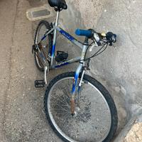 Bicicletta ortles