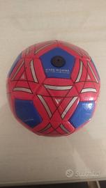 Pallone da calcio 