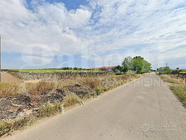 Terreno Agricolo San Severo [Cod. rif 3191192VCG]