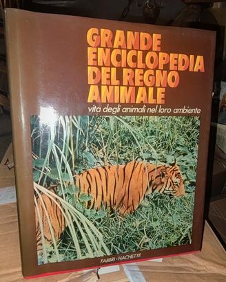 libri 
