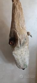 otre Zampogna 