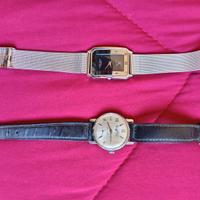 Collezione orologi(CK, Festina ecc.)