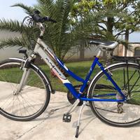 Bicicletta CityBike