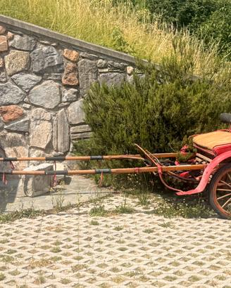 Calesse d’epoca a due ruote per cavallo