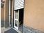Immagine 7