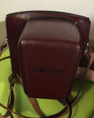 Custodia Leicaflex sl/sl2