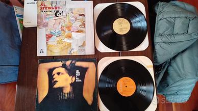 Vinile Al Stewart